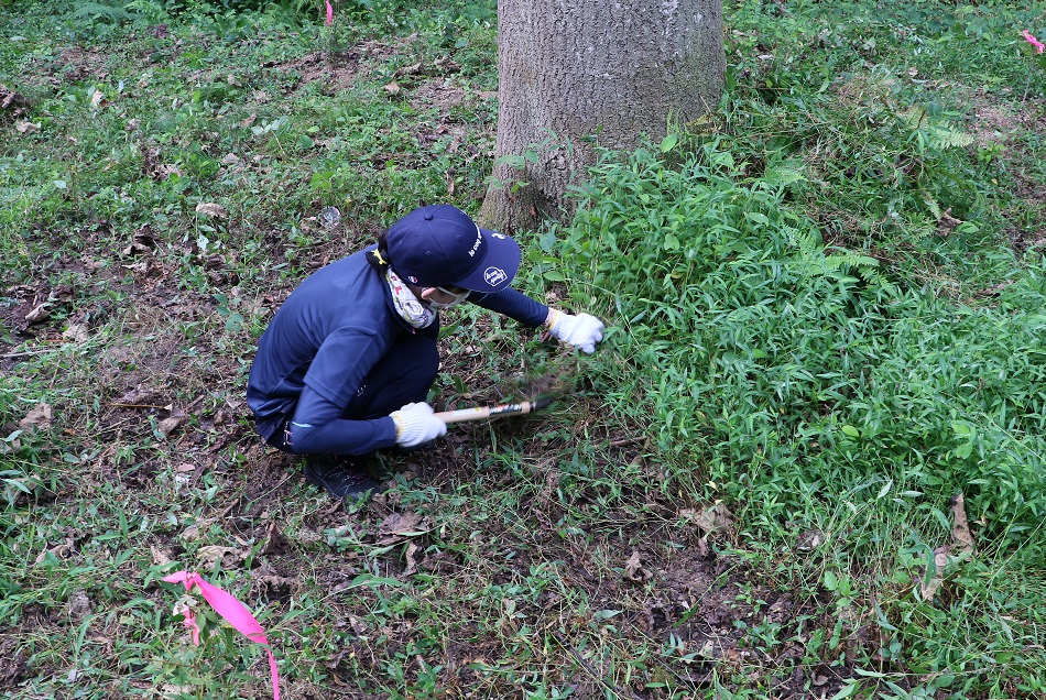 2022広島フォレスト植林活動 in たけはら 作業画像1