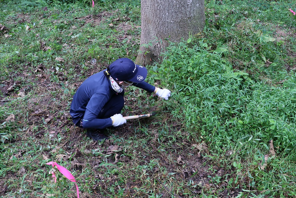 2022 Hiroshima Forest Planting Activities in Takehara Work Image 1