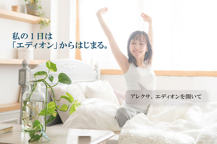 ハロー エディオンの概要