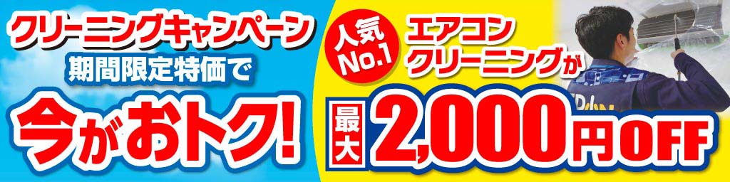 決算夏フェス