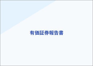第23期 有価証券報告書