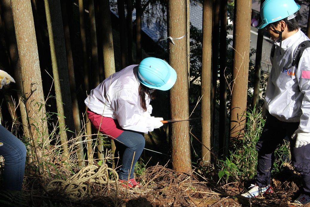 2019年吉野森林保全活動写真