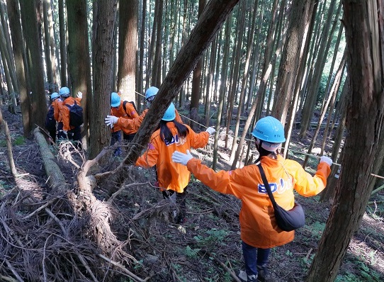 吉野森林保全活動写真