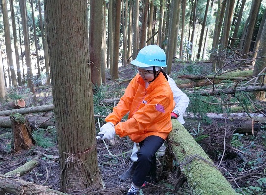 吉野森林保全活動写真
