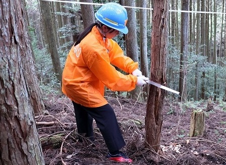 2025年吉野森林保全活動写真