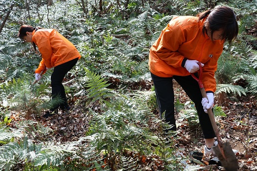 広島フォレスト植林活動