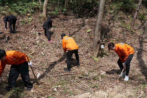 植樹活動