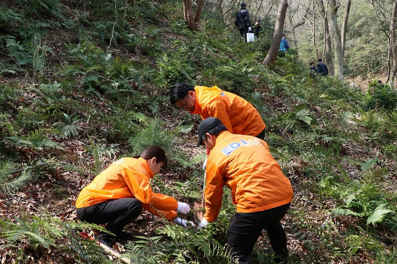 植樹活動