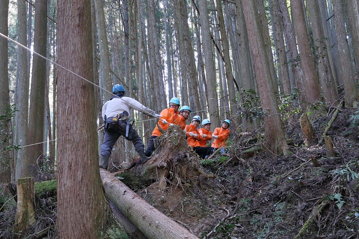 吉野フォレスト森林整備活動