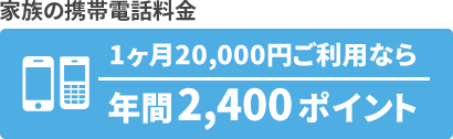 ポイント例