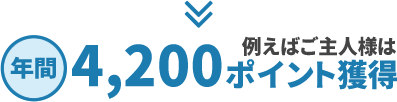 ポイント例