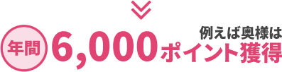 ポイント例